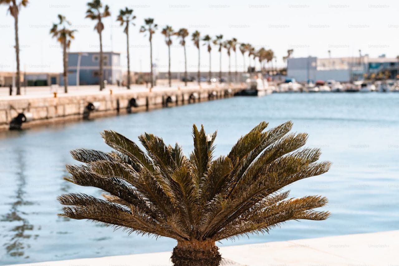 Белоснежный пляж Бай Дай в Камрани с бирюзовой водой на закате