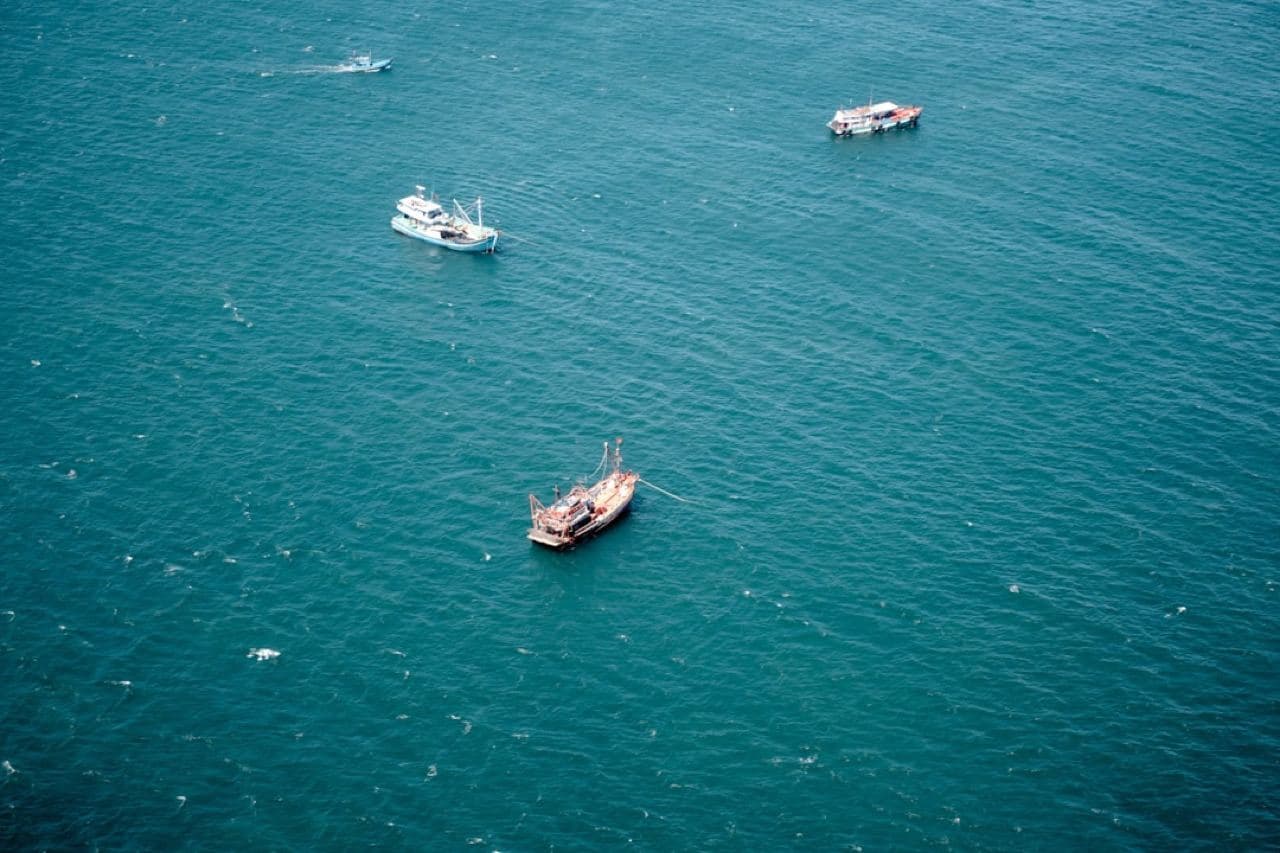 Тропический бассейн и пальмы на фоне бирюзового океана в курортной зоне Камрани