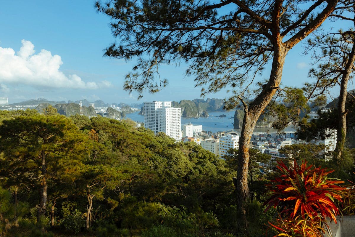 Вид на город Халонг и бухту с карстовыми островами на горизонте