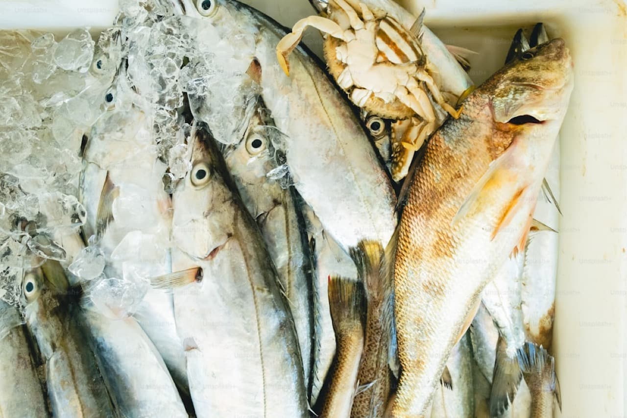 Блюда азиатской кухни — морепродукты и мясо с гарниром