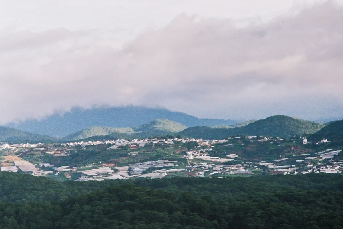 Безумный дом в Далате — экскурсия из Муйне на один день