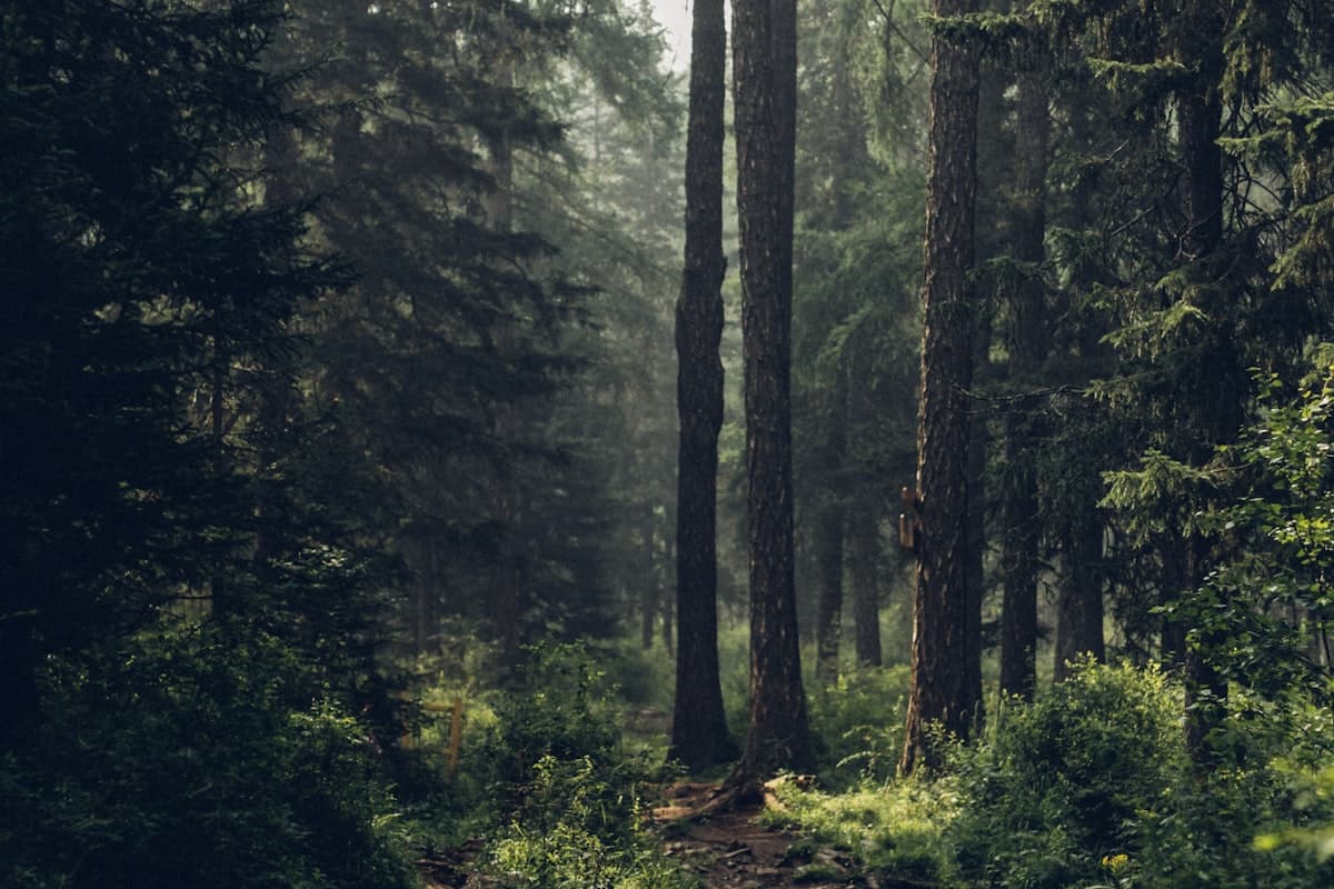 Красные песчаные дюны Муйне на закате с катанием на санках