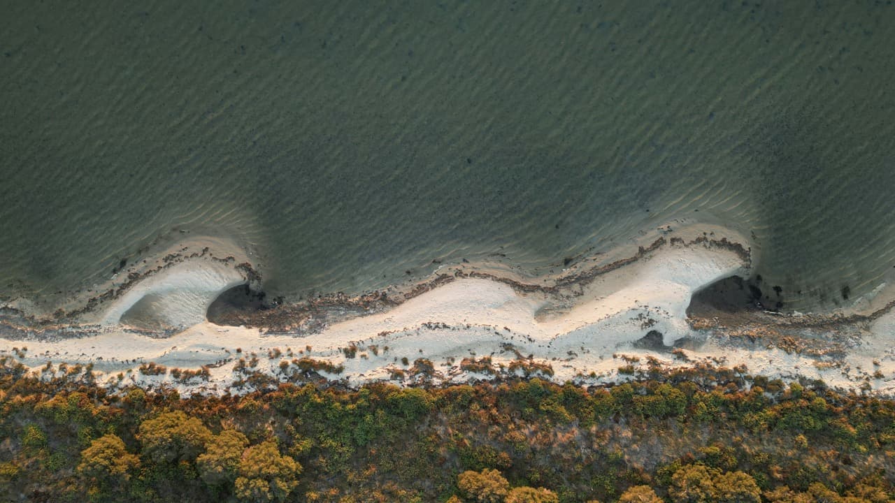 Тропический пляж с пальмами и бирюзовым морем — сравнение курортов Вьетнама
