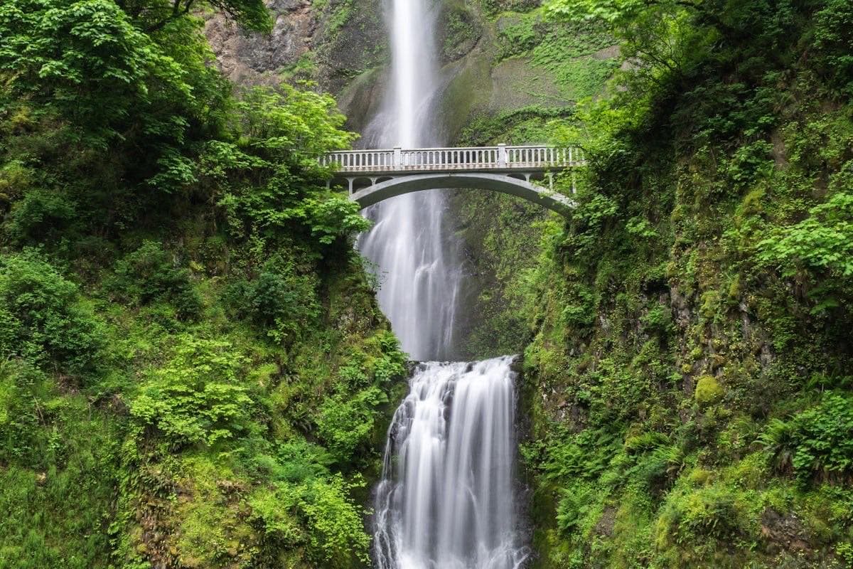 Водопад в тропических джунглях с зелёной растительностью и мостом