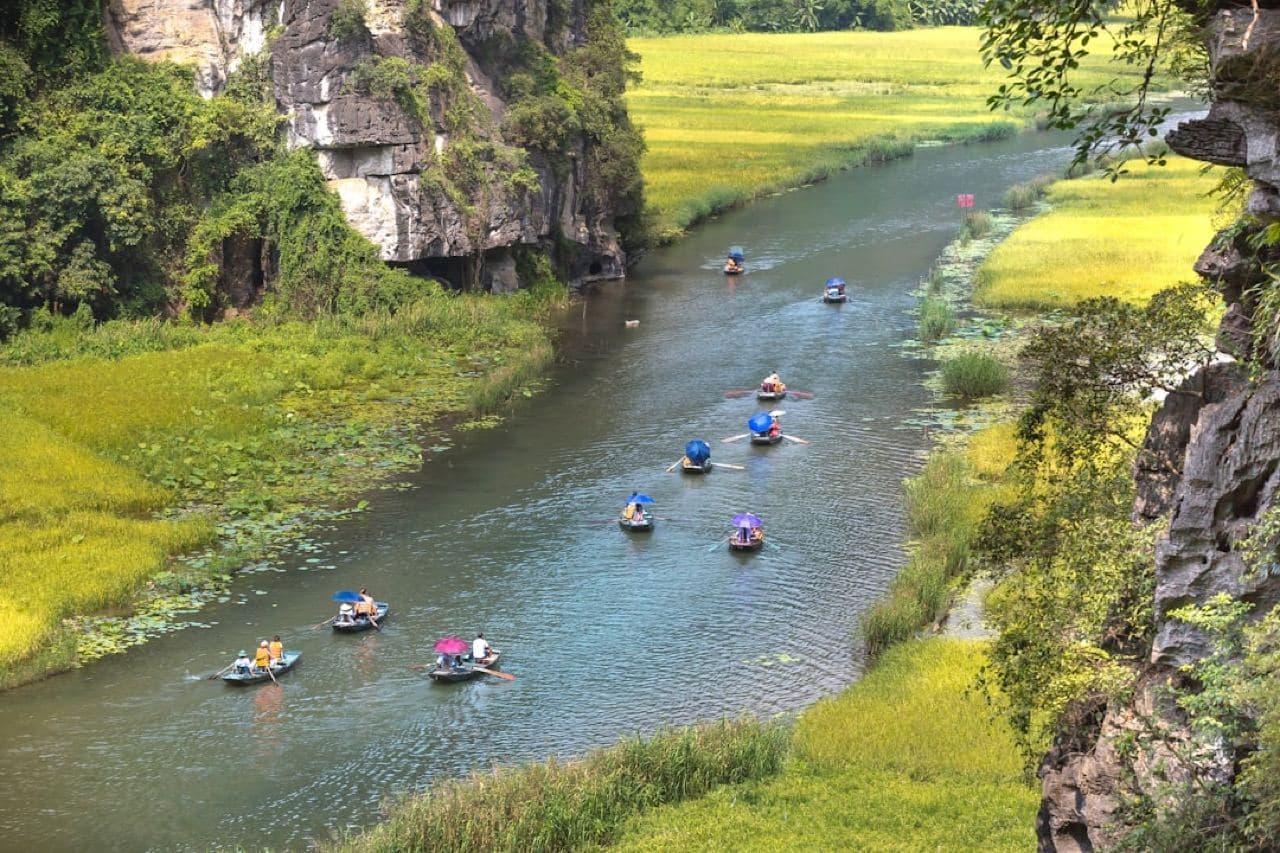 Золотые рисовые поля Тамкока среди карстовых гор Ниньбиня