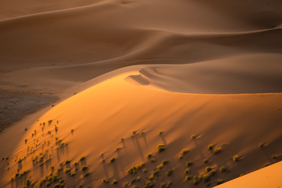 Джип-тур по белым песчаным дюнам Муйне на рассвете