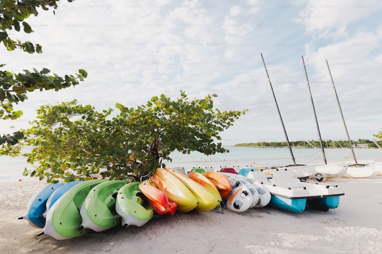 Дайвер с косяком тропических рыб у подводных скал побережья