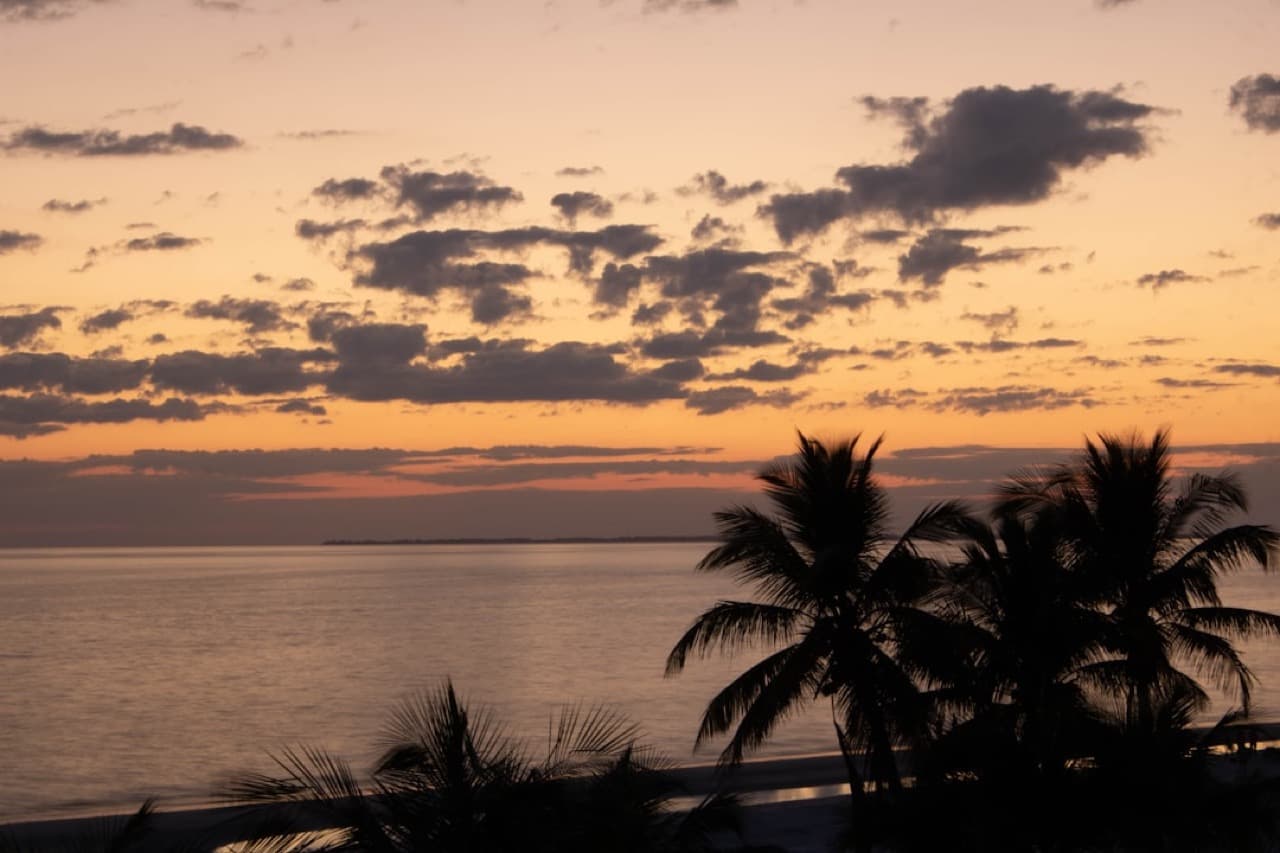 Закат на западном побережье Фукуока с пальмами и оранжевым небом