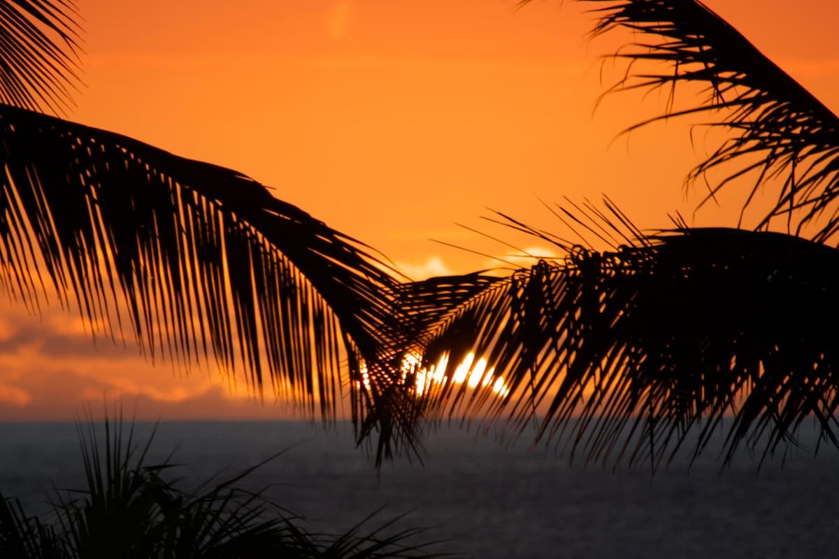Золотой закат на тропическом пляже — лучшее время для отдыха на Фукуоке