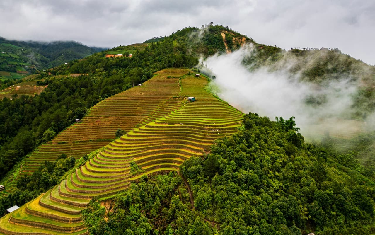 Тропический пляж Вьетнама в апреле с пальмами и бирюзовым морем