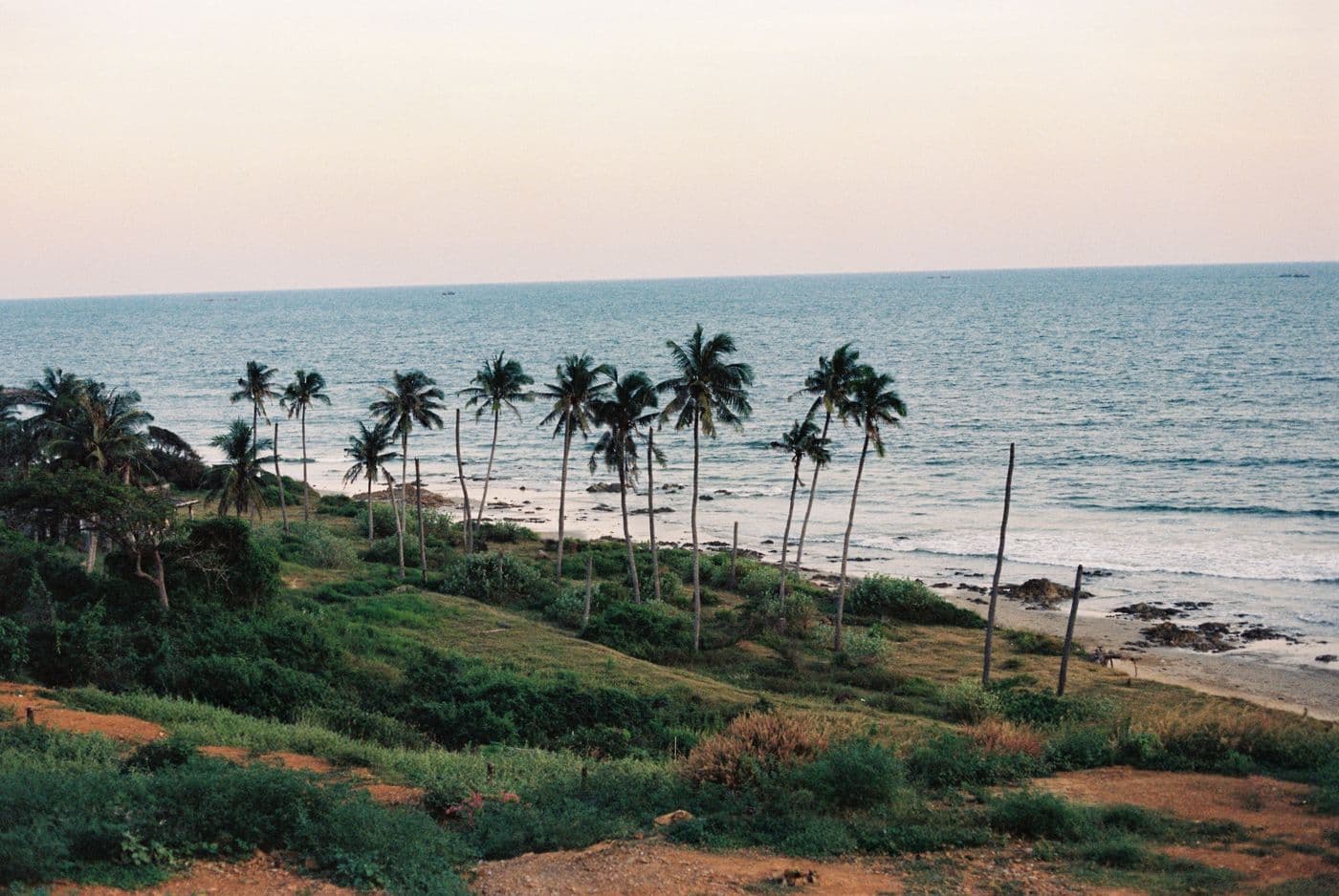 Phan Thiet coastline with palms and the sea in soft morning light