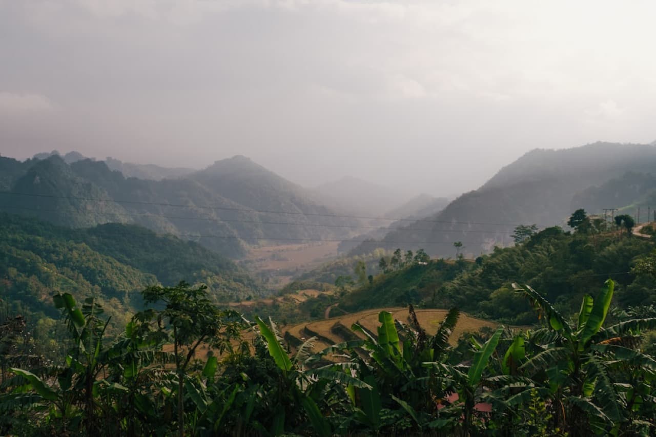 Пейзаж Вьетнама — рисовые поля и горы на севере страны