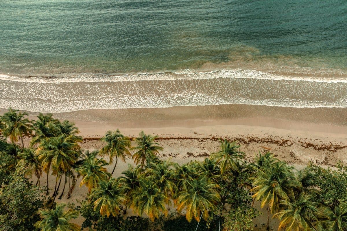 Золотой мост Бана Хиллз в Дананге — достопримечательность центрального Вьетнама