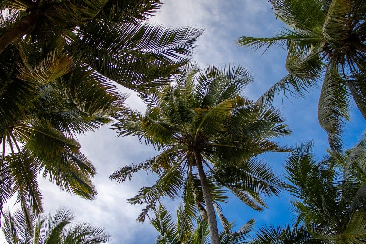 Вечерняя панорама Хошимина с небоскрёбами и рекой Сайгон