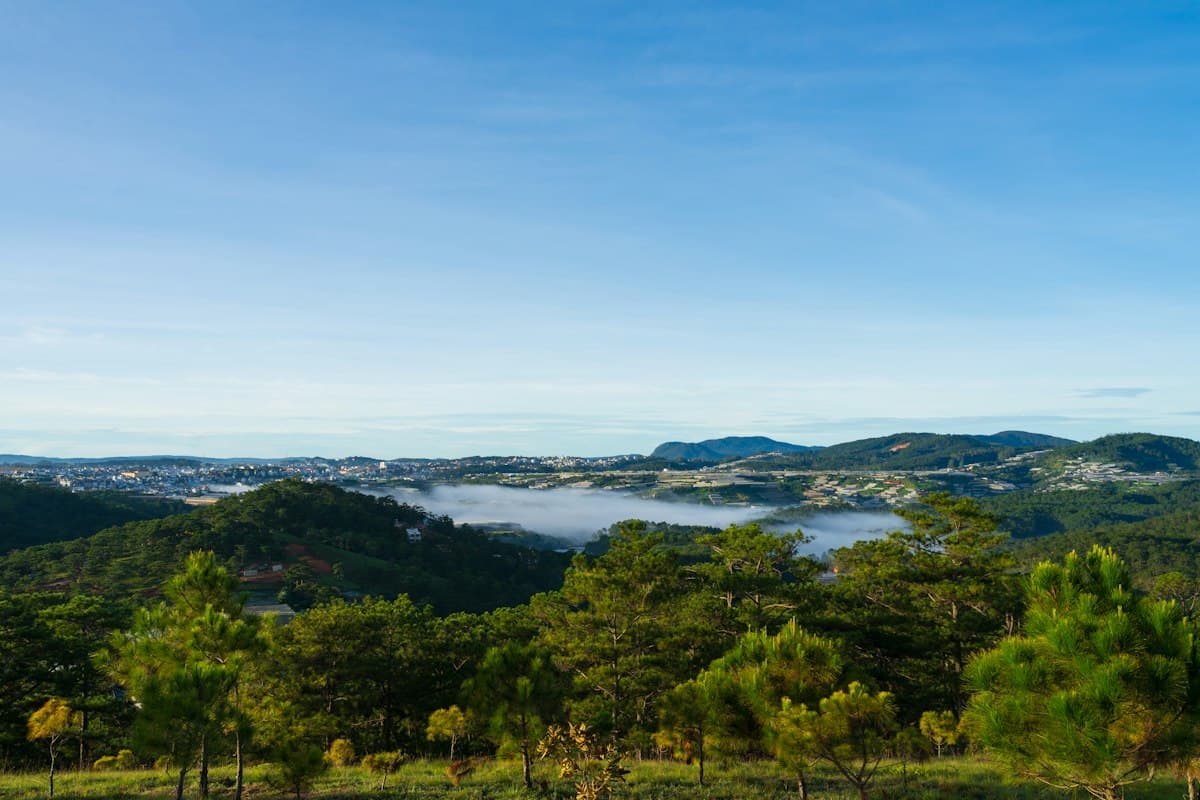 Pine hills of Da Lat under morning fog with the city on the horizon