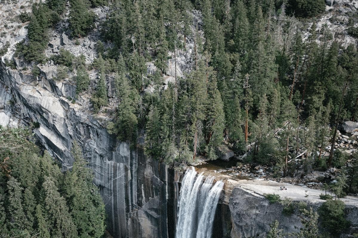 Водопад Датанла в Далате с электросанями через сосновый лес