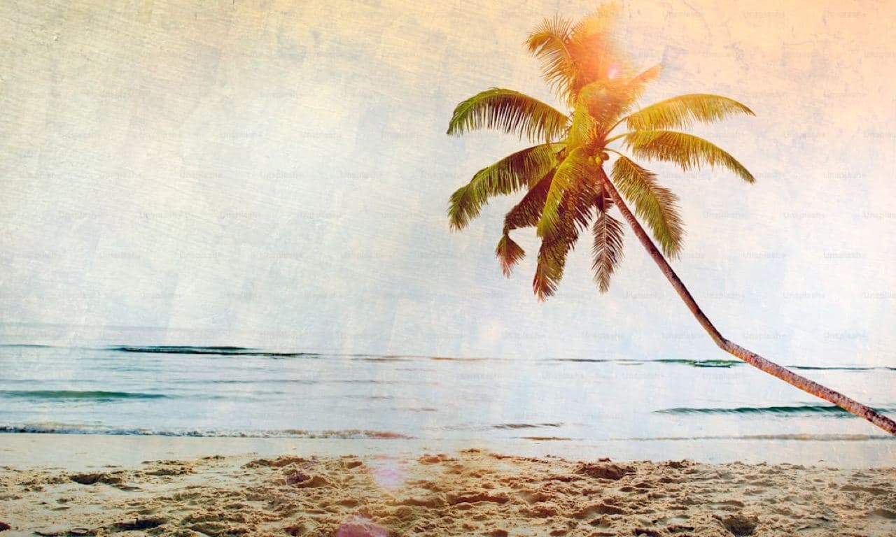 Тихий пляж Ха Ми с казуариновыми деревьями вдоль побережья