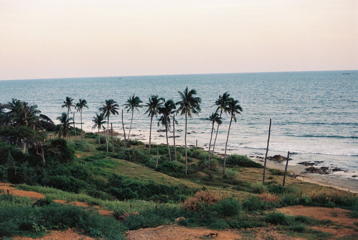 Тропический пляж с пальмами и чистым морем в центральном Вьетнаме