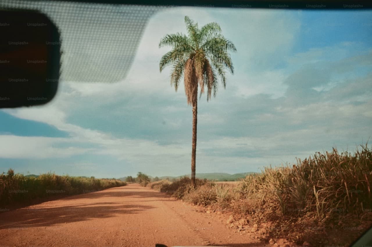 Улица Хойана с красными фонарями и вьетнамским флагом в сухой сезон