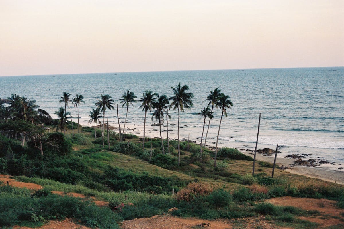 Побережье центрального Вьетнама с пальмами и морем — пляжный сезон