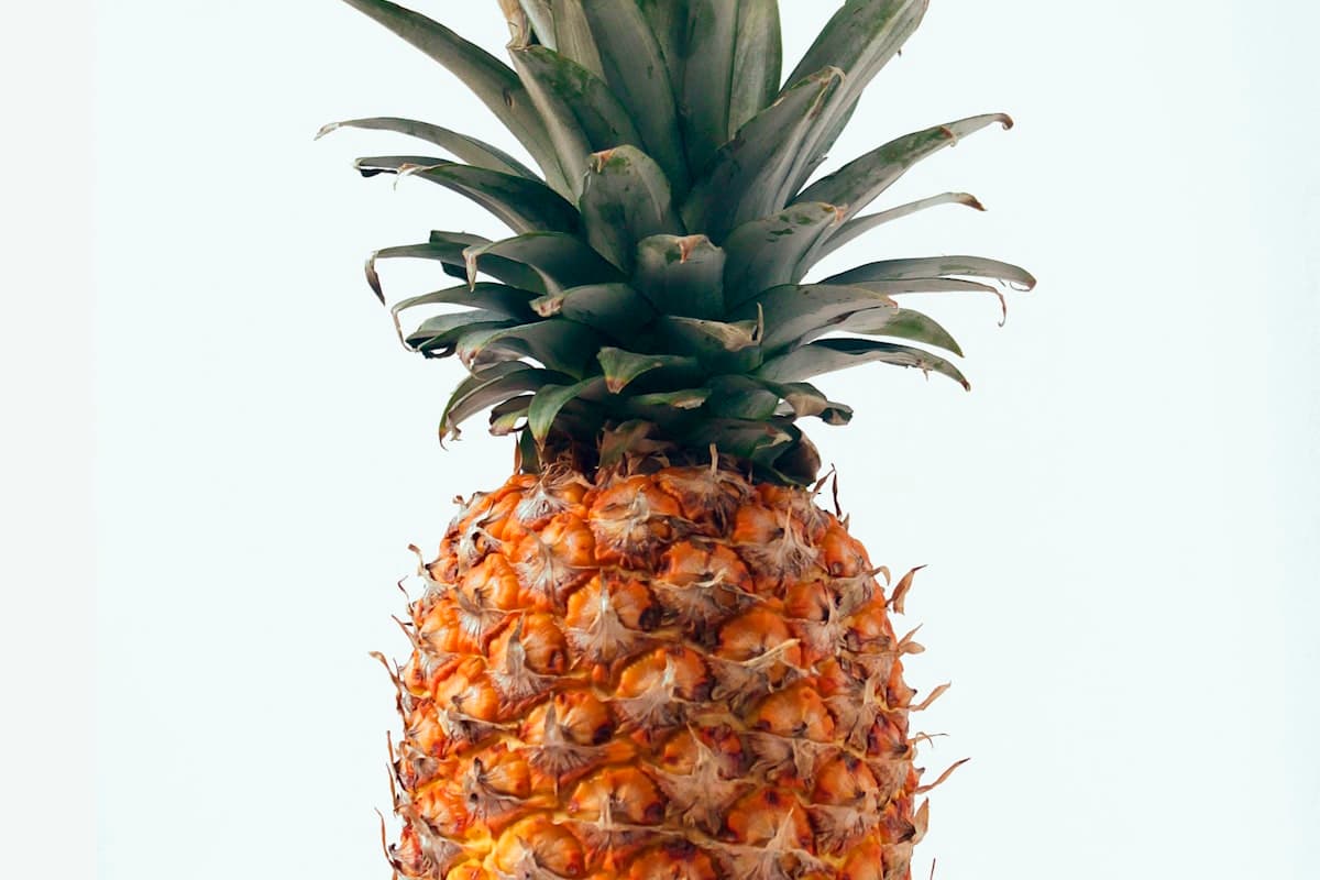 Рынок Сом Мой в Нячанге — прилавки с тропическими фруктами: манго, рамбутан, питайя