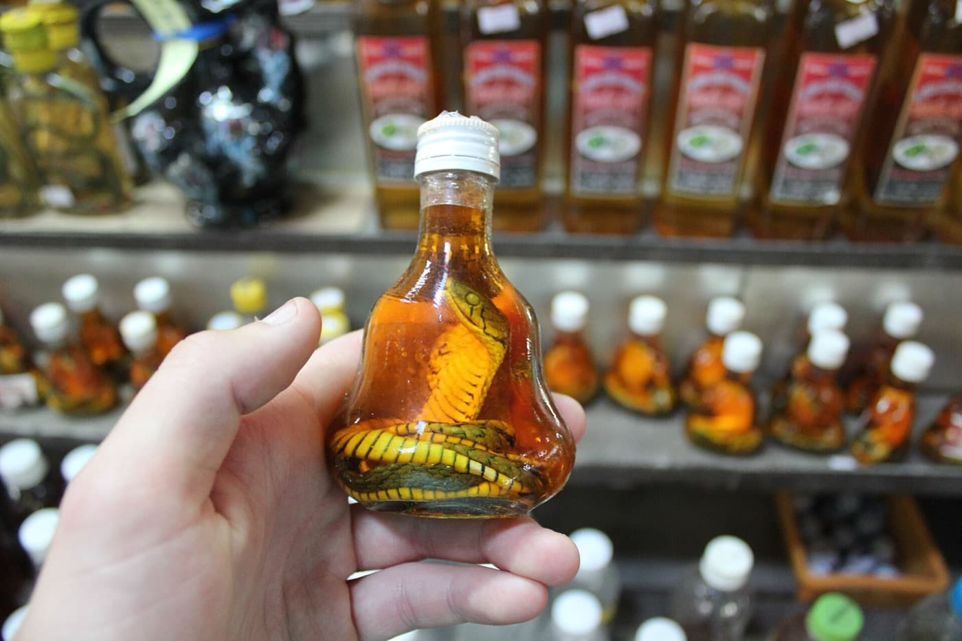 Маленькая бутылка рисовой настойки со змеёй в руке на фоне полок лавки