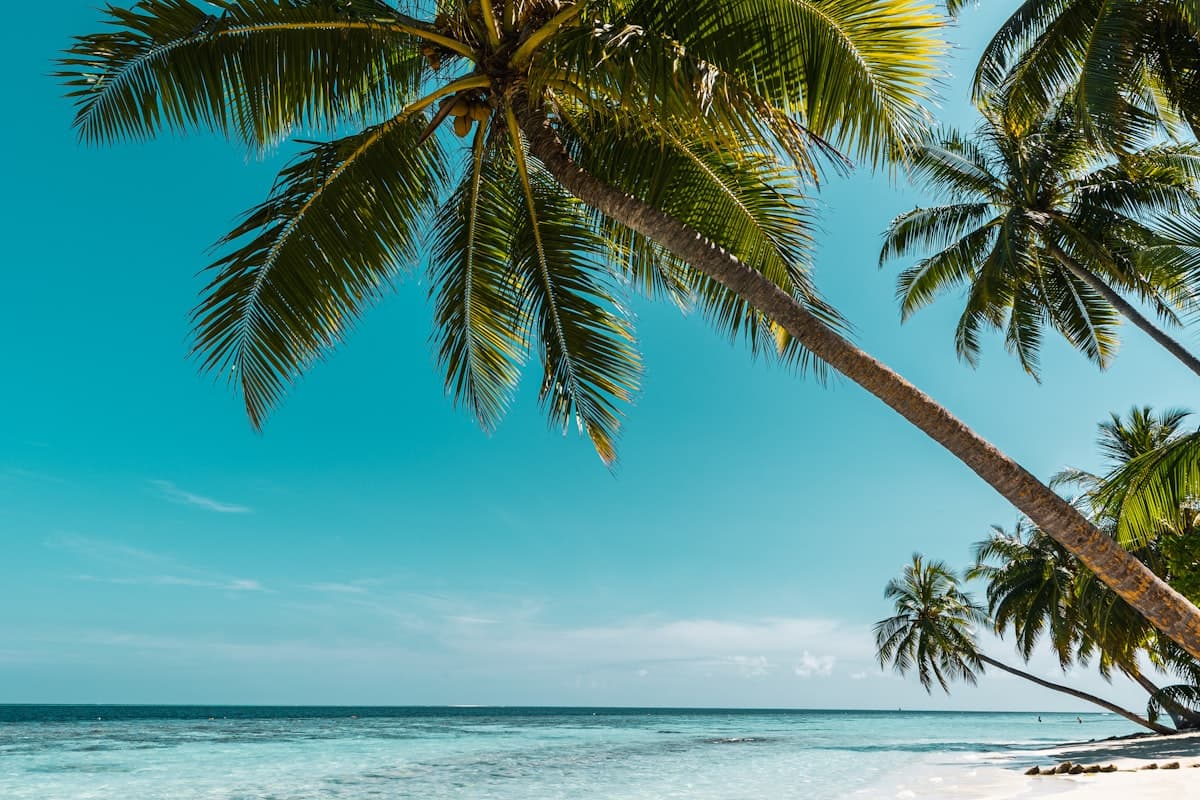 Бухта Халонг с круизными лодками и известняковыми скалами — одна из главных экскурсий Вьетнама