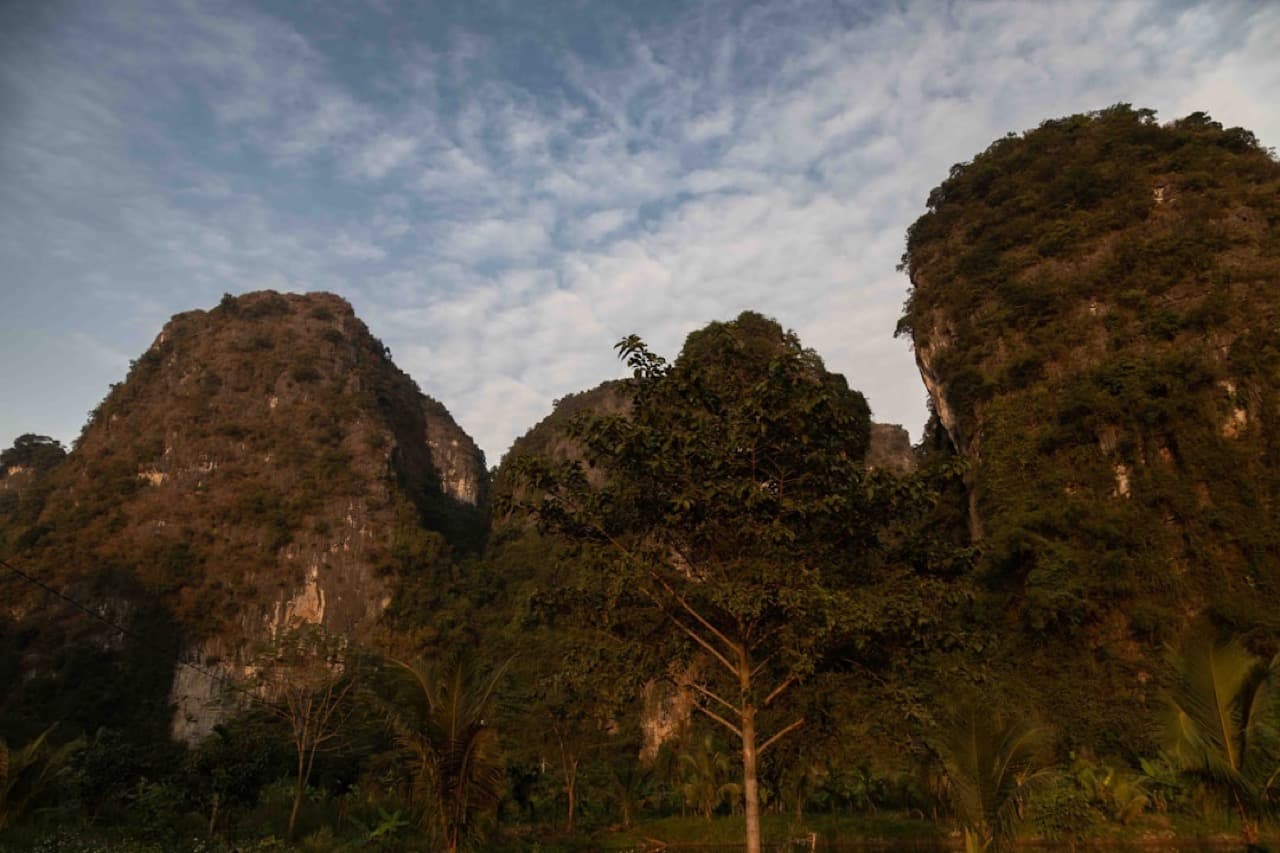 Хаотичное движение мотобайков на перекрёстке вьетнамского города