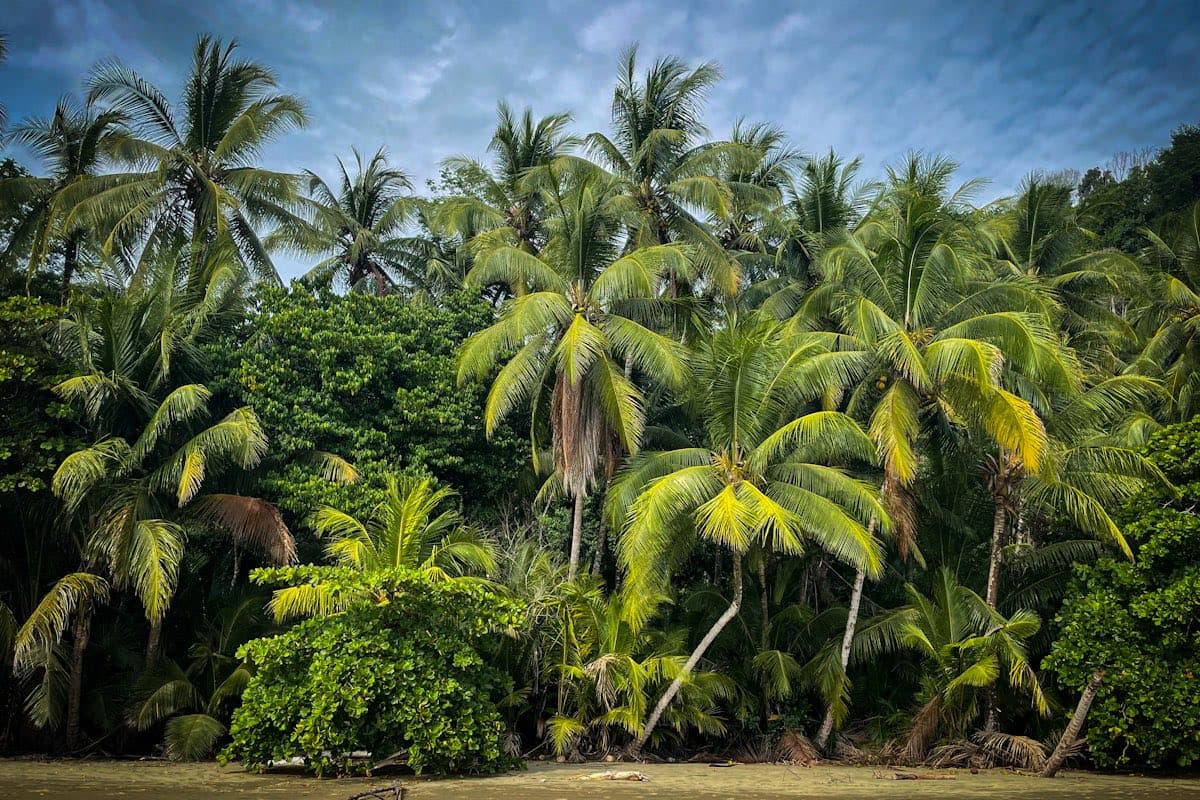 Тропический пляж с бирюзовой водой на закате — пляжный отдых во Вьетнаме