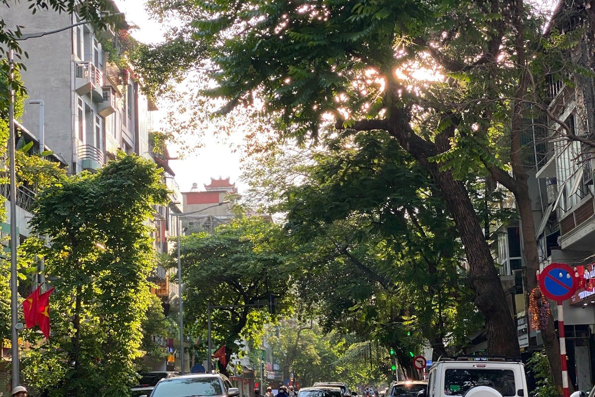 Зелёная улица Ханоя с дорожными знаками и потоком машин