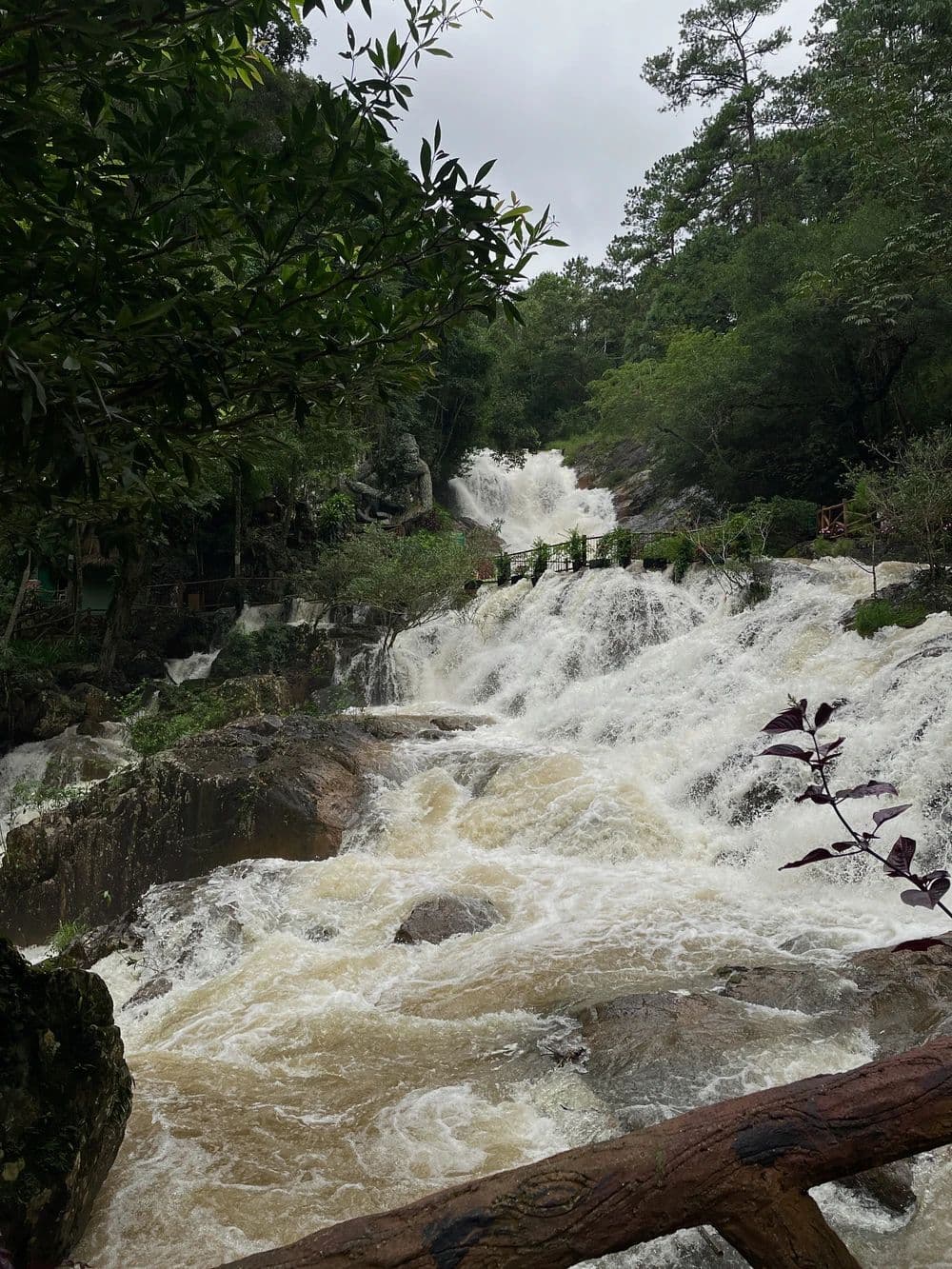 Бурный каскад водопада Датанла среди сосен
